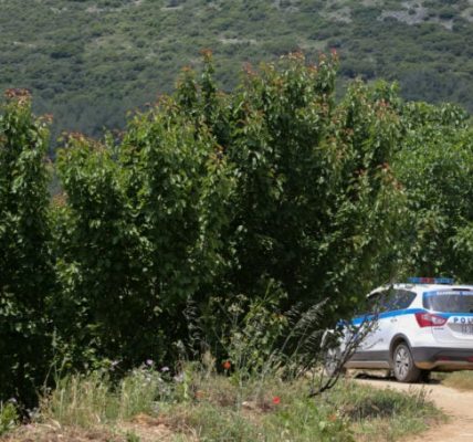 Απειλητική συμπεριφορά με αλυσοπρίονο κατά δικαστικού επιμελητή στην Κρήτη