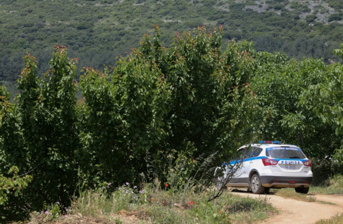 Απειλητική συμπεριφορά με αλυσοπρίονο κατά δικαστικού επιμελητή στην Κρήτη