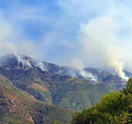 Αυξανόμενες αγροτοδασικές πυρκαγιές στην χώρα με προειδοποιήσεις από την Πυροσβεστική