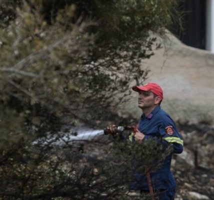 Πυρκαγιά στην Κερατέα προκαλεί αμέλεια με σύλληψη άνδρα