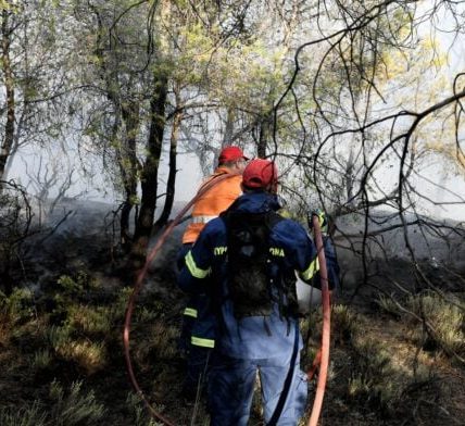 Φωτιά στον Λυκαβηττό και πληθώρα αγροτοδασικών πυρκαγιών σε 24 ώρες